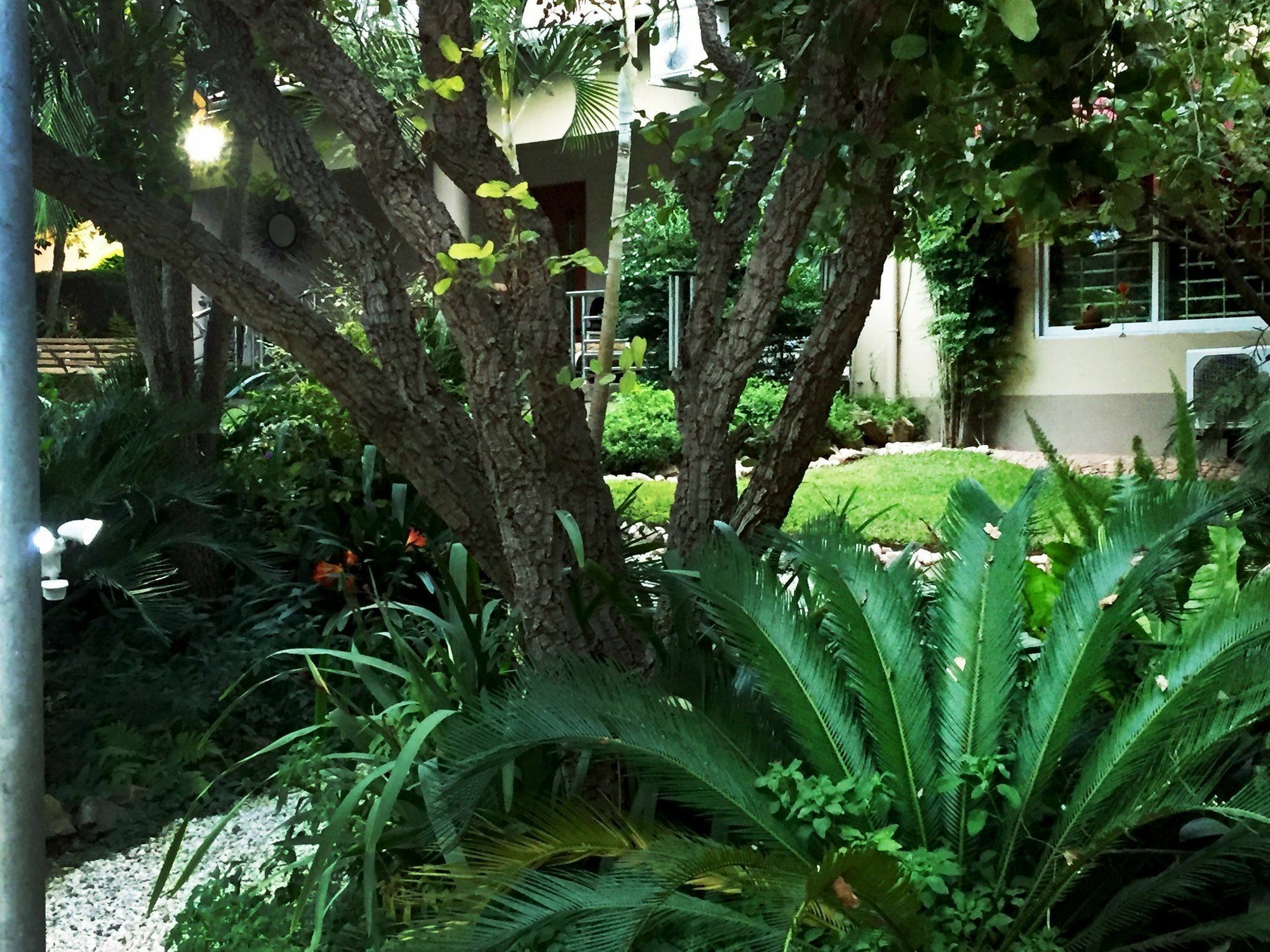 Palmwood Lodge Lusaka Luaran gambar