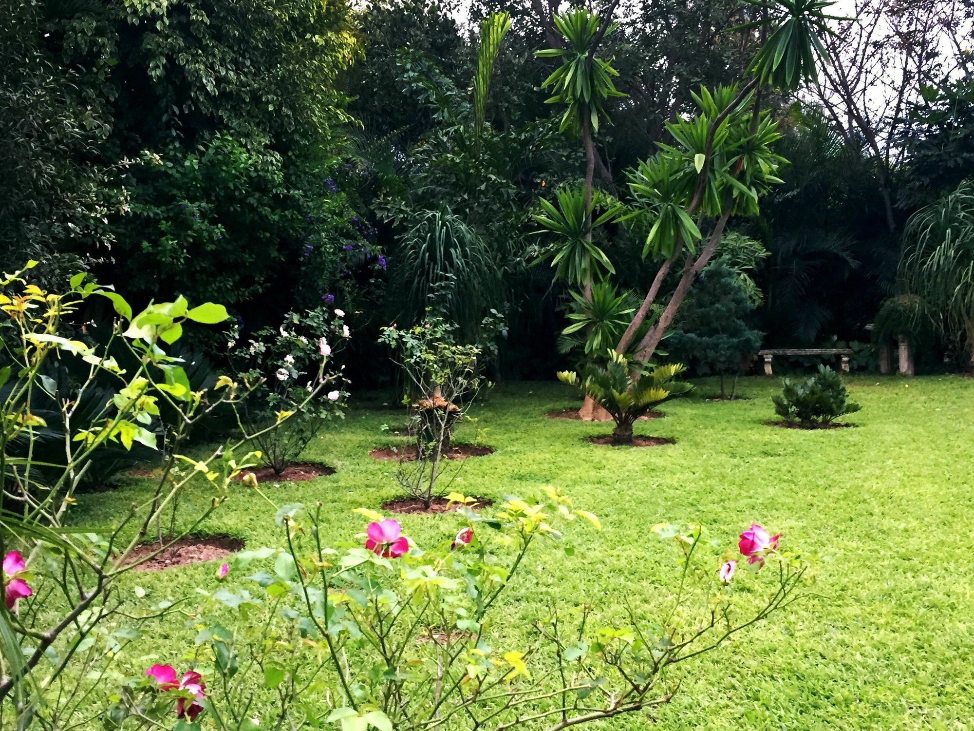 Palmwood Lodge Lusaka Luaran gambar
